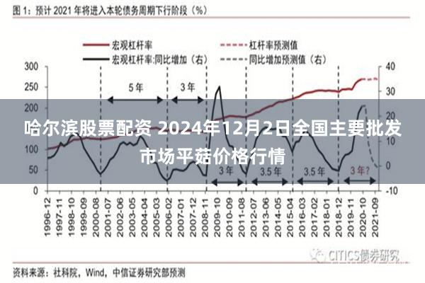 哈尔滨股票配资 2024年12月2日全国主要批发市场平菇价格行情