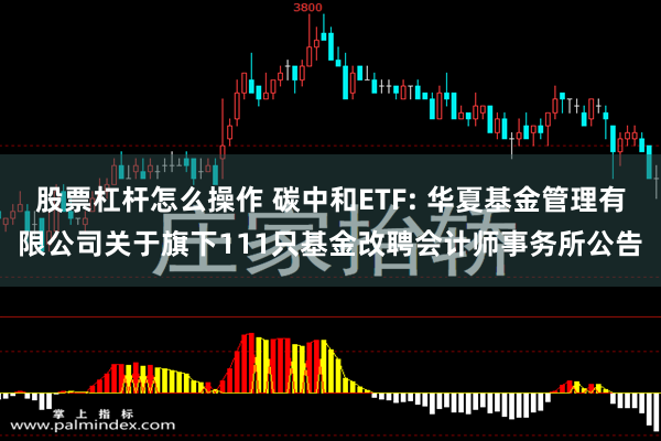 股票杠杆怎么操作 碳中和ETF: 华夏基金管理有限公司关于旗下111只基金改聘会计师事务所公告